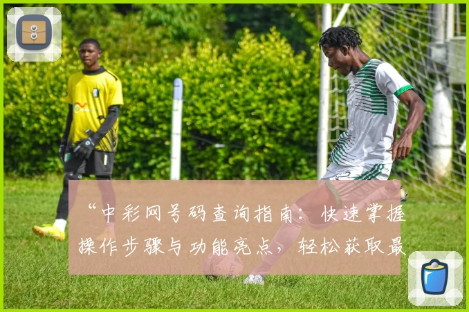 “中彩网号码查询指南：快速掌握操作步骤与功能亮点，轻松获取最新数据”