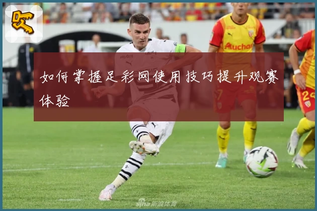 如何掌握足彩网使用技巧提升观赛体验