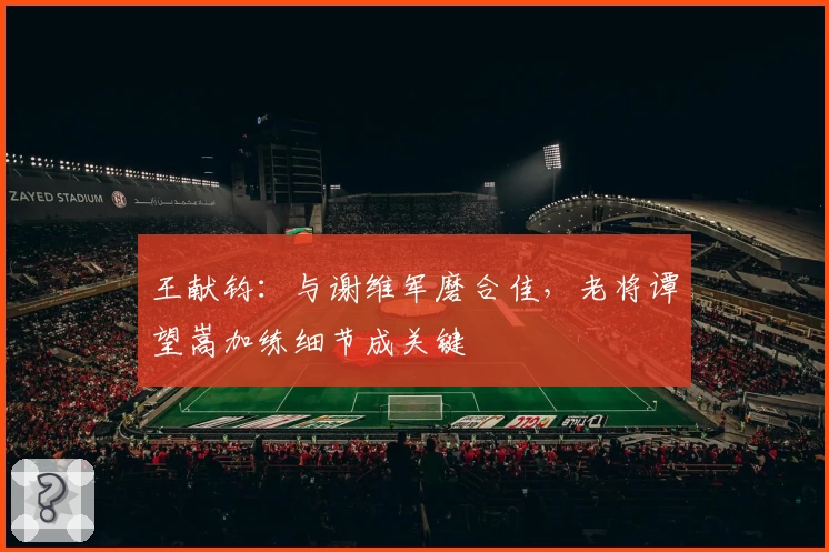 王献钧:与谢维军磨合佳,老将谭望嵩加练细节成关键